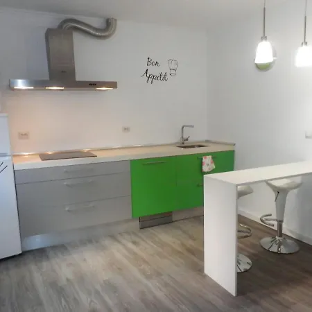 Centrico 1h Zumaia Apartament *